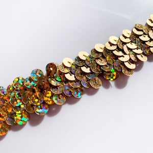 Regenbogen Metallic Gold Pailletten Borte Stretch Borte Pailletten Brautborte Zierborte Trachtenbesatz Silber borte 3/4"