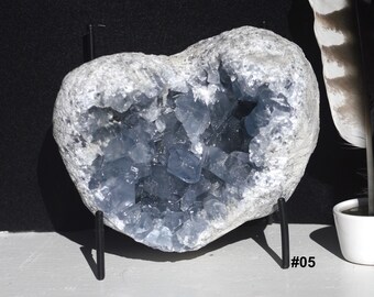 Large Celestite Cluster for Sale 6 to 14 lbs | FREE US Shipping | Choose Your Favorite | Blue Crystal Geode Gemstone Stones Extra Large