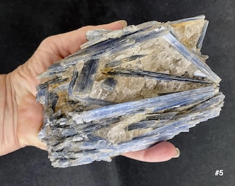 Raw Blue Kyanite Crystal 1+ pound FREE US SHIPPING Choose Your Favorite | Raw Kyanite Spears in Quartz | Kyanite Specimen Gemstone