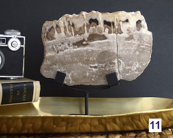 Petrified Wood Display Slabs with Stands 1 to 2 pound size FAST FREE SHIPPING Choose Your Favorite, Polished Fossil Slice, Boho Home Decor