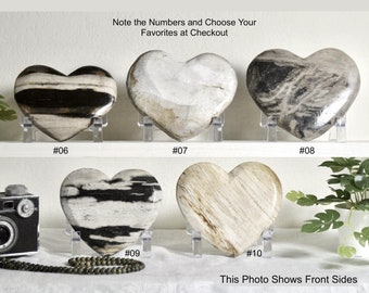 Valentines Day Gift for Him Polished Petrified Wood Heart Display Slab with Stand, Fossil Heart, Boho Home Decor Your Choice 5 inch
