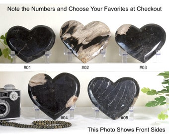 Petrified Wood Heart, Valentines Day Gift for Him, Your Choice Fossil Polished Wood Heart Unique Home Decor 5 inch Display Slab with Stand,