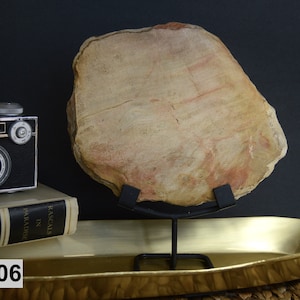Plaques de présentation en bois pétrifié avec supports de 2 livres LIVRAISON GRATUITE rapide aux États-Unis Choisissez votre tranche de fossile polie préférée, décoration d&#39;intérieur bohème