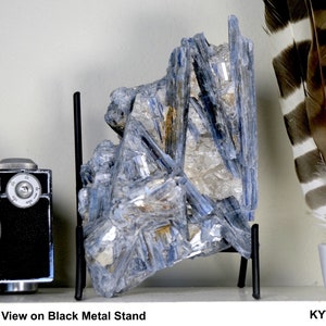 Large Raw Kyanite Crystal Fast FREE US SHIPPING 3+ lbs | Natural Blue Kyanite Spears in Quartz | 6.5 x 4 x 3.75 inches Specimen Gemstone