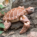 Turtle Toys