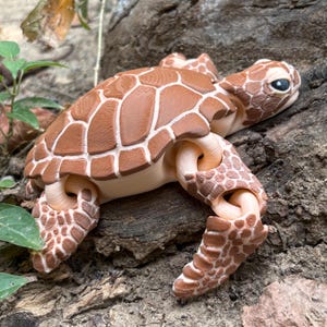 Peut inclure: Figurine de tortue articulée marron et blanche. La tortue présente un motif de carapace détaillé et est posée sur un morceau de bois. Les pattes et la tête de la figurine sont visibles, mettant en valeur le design complexe. Les yeux de la tortue sont noirs.