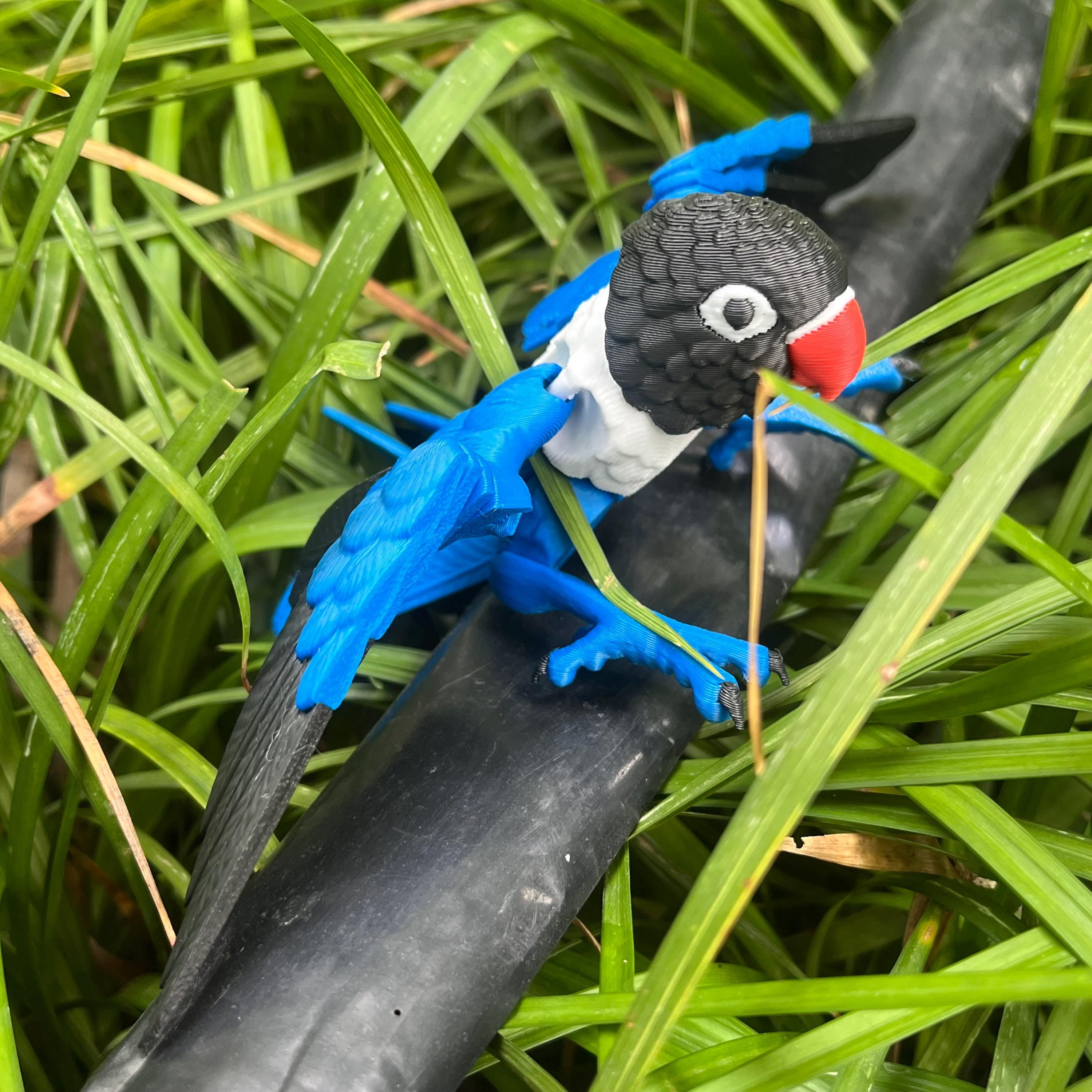 3D Printed Articulated Parrot: Movable Wings, Exotic Desktop Decor