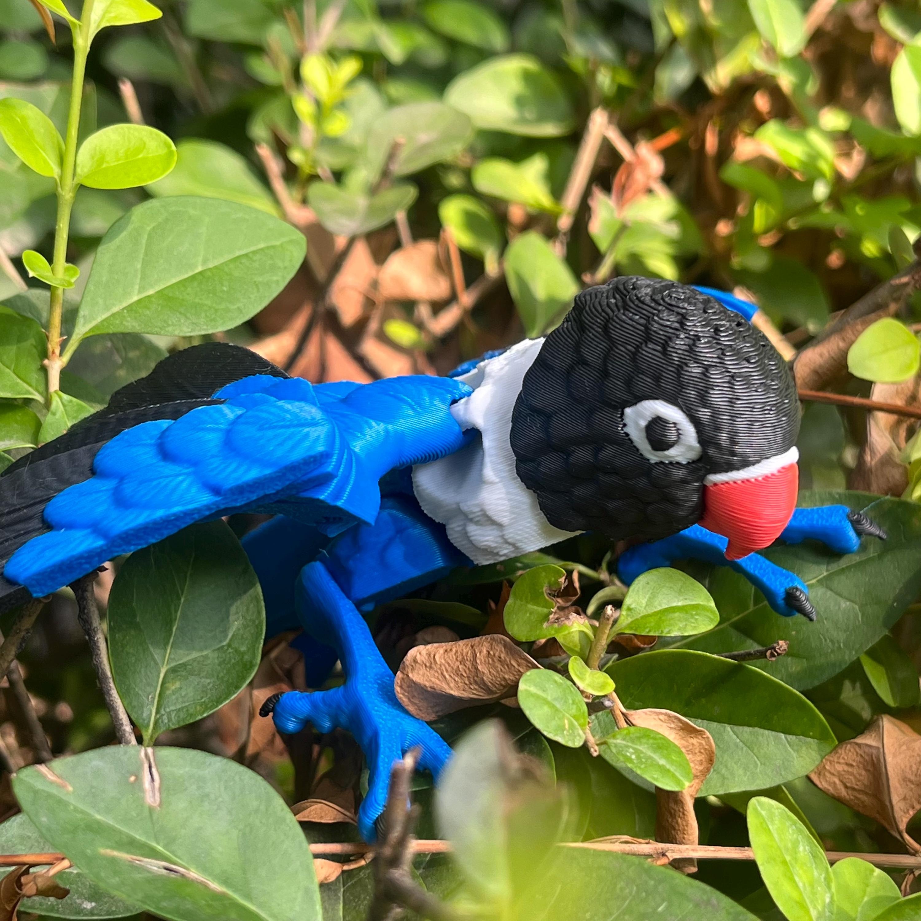 3D Printed Articulated Parrot: Movable Wings, Exotic Desktop Decor