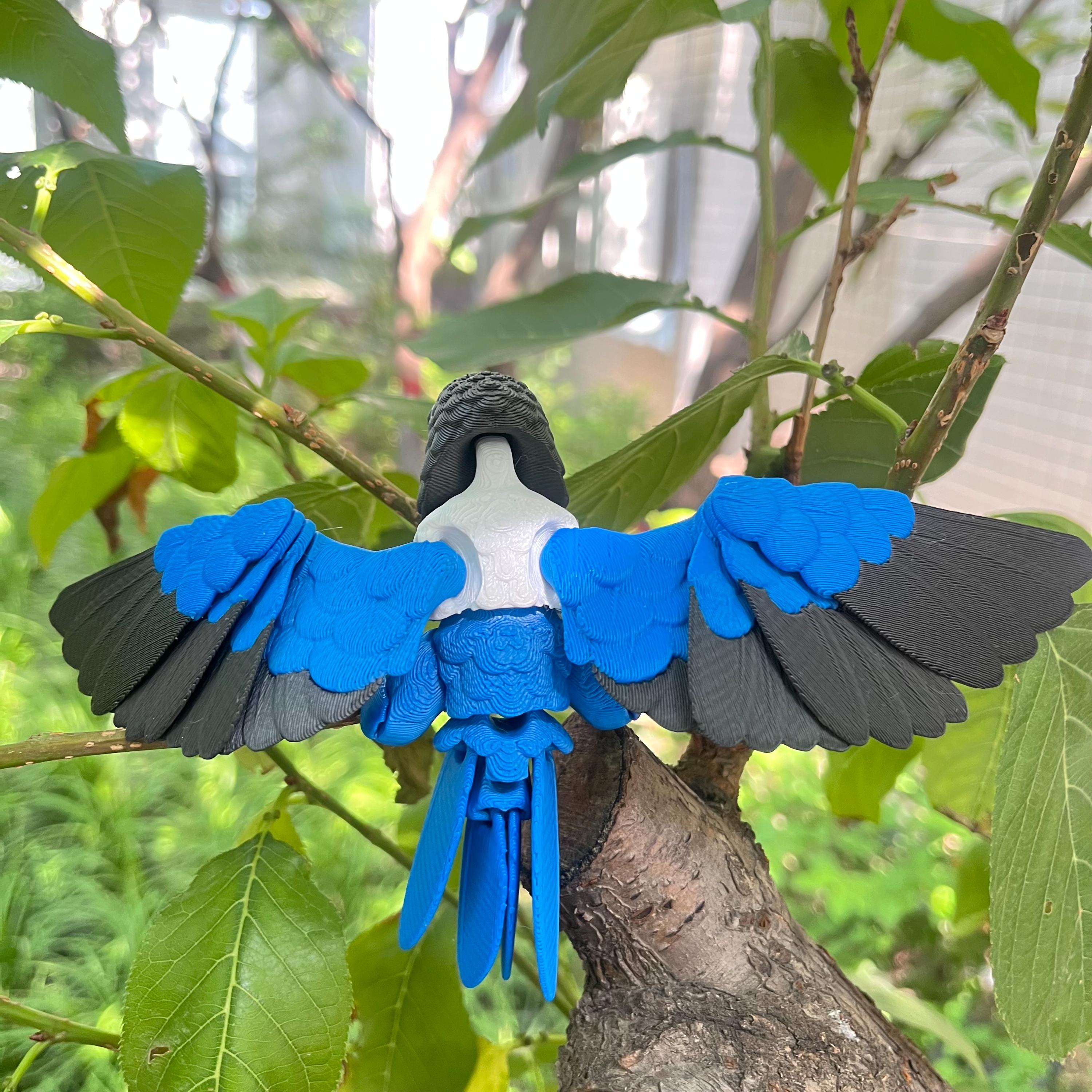 3D Printed Articulated Parrot: Movable Wings, Exotic Desktop Decor