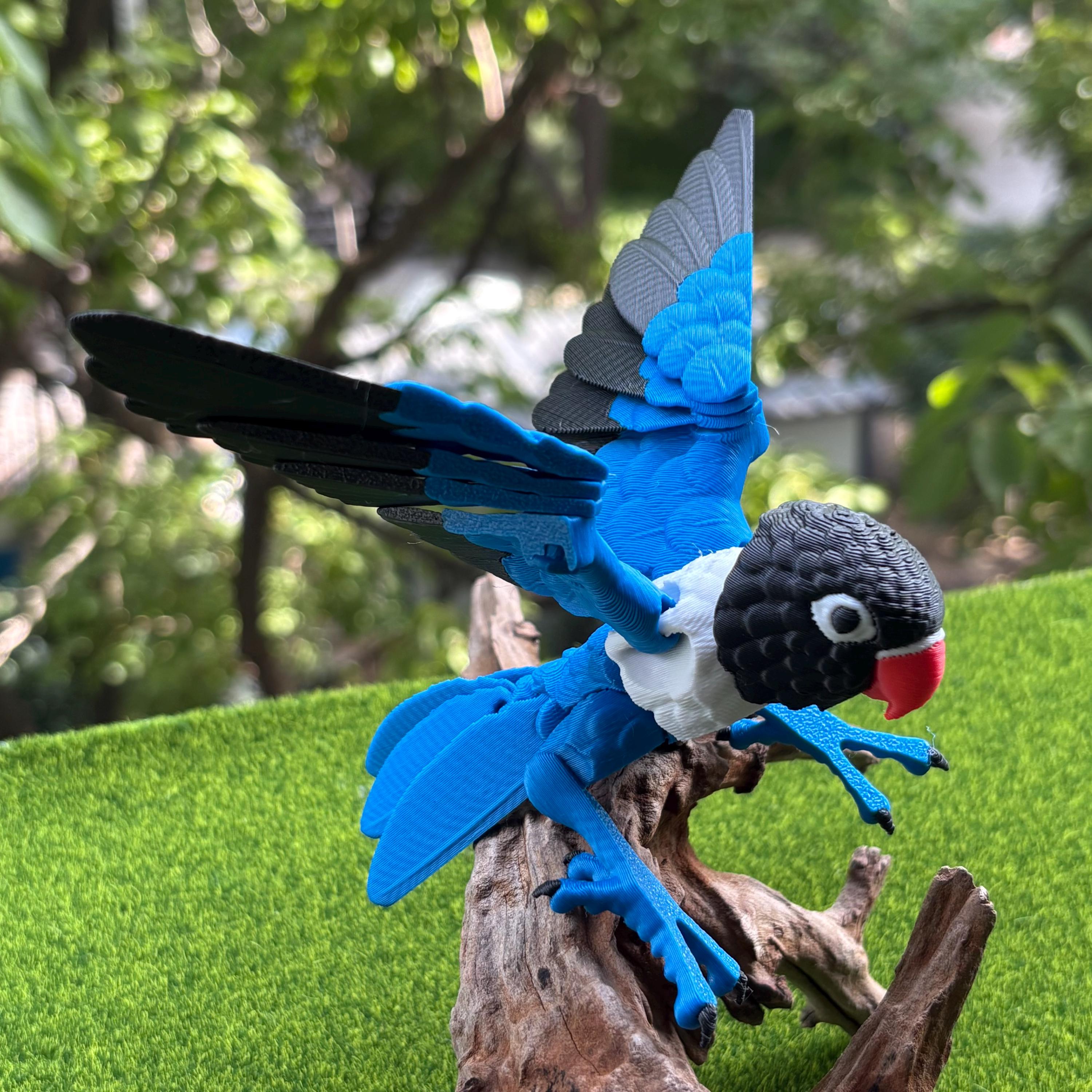 3D Printed Articulated Parrot: Movable Wings, Exotic Desktop Decor