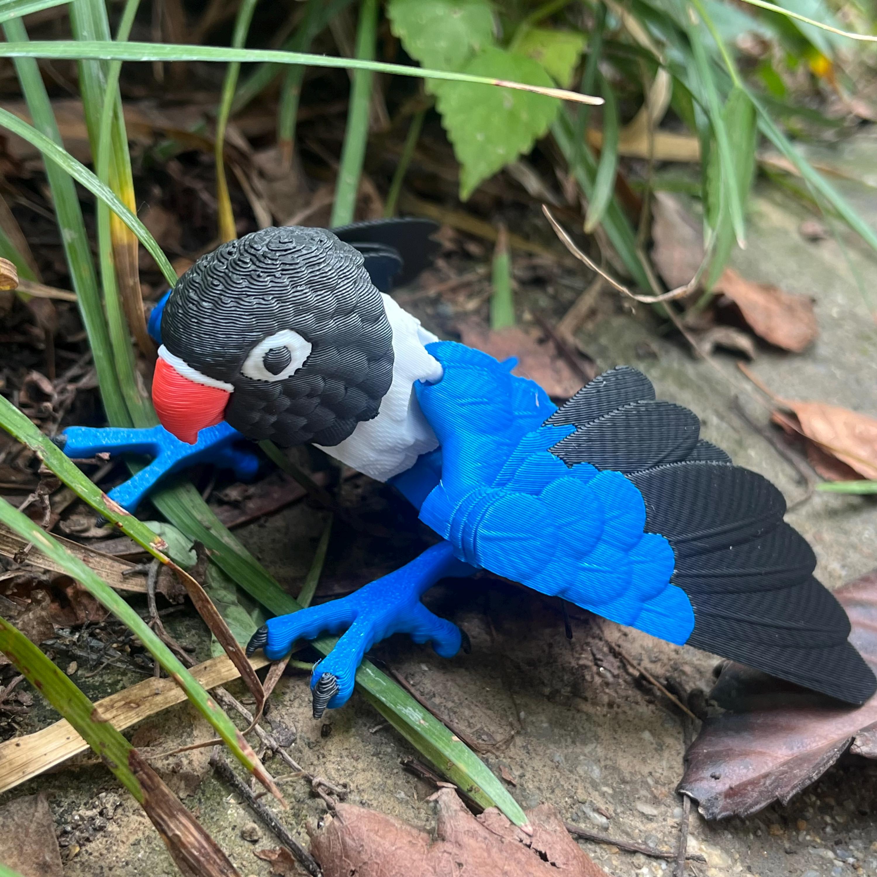 3D Printed Articulated Parrot: Movable Wings, Exotic Desktop Decor