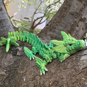 Custom 3D Printed  Axolotl  Dragon - Multi-Color Articulated Desk Toy - Movable Joints - Fun Gift for Collectors & Fantasy Fans
