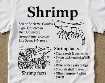 shrimp information t-shirt , 90s vintage graphic t-shirt , retro shrimp t-shirt , unisex t-shirt for adults , y2k