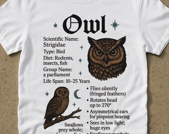 Camiseta con información sobre el búho, camiseta gráfica vintage de los 90, camiseta retro de búho, camiseta unisex para adultos, búho con juego de palabras, tallas grandes