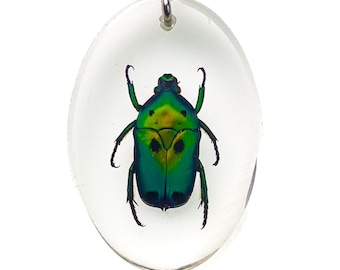 May include: Oval-shaped pendant featuring a vibrant green and gold beetle encased in clear resin. The beetle's iridescent shell is detailed, with visible legs and antennae. A silver-colored metal loop is attached at the top for hanging.