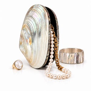 Puede incluir: Un bolso de mano con forma de concha iridiscente y un interior oscuro, con una cadena dorada adornada con perlas blancas. A su lado hay un anillo dorado con una perla blanca y un brazalete ancho y cilíndrico con acabado de nácar.