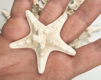 Witte gepantserde zeester set van 10 (7 cm) - kustdecor, strandbruiloft