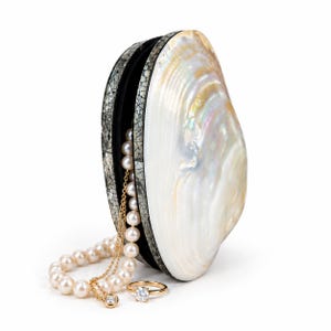 Puede incluir: Un bolso de mano con forma de concha grande, exterior blanco iridiscente y borde oscuro con patrón de mosaico. Un collar de perlas blancas y un anillo de oro con una piedra clara están colocados frente al bolso abierto.