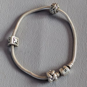 パンドラ チャームブレスレット 925 スターリングシルバー チャーム 10