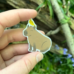 Capybara and bird sticker // cute sticker capybara stationery for laptops, water bottles, notebooks and sketchbooks. Eco-paper & recyclable.