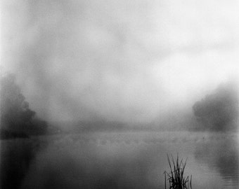 Morning Fog-Fine Art Photography-Siobhan Photography