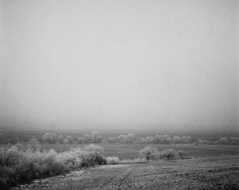 Overcast Snow Day- Fine Art Photography- Slovakia