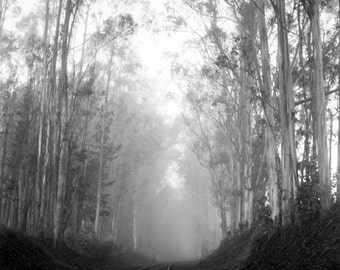 Blind Road- Fine Art Photography- Landscape- California