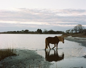 Sunset Stroll- Fine Art Photography- Maryland