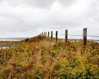 Follow the Fence