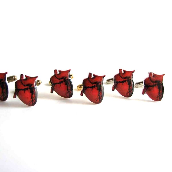 anatomical heart cuff links