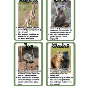 Cartes mémoire d'animaux australiens – Faits amusants sur 20 animaux australiens emblématiques | Téléchargement numérique imprimable, fiches d'information, feuilles de calcul préscolaires, outil
