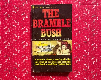 The Brombeerbusch - Charles Mergendahl Vintage Schmutz Taschenbuch.