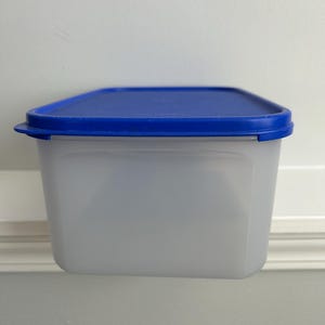 May include: A clear, rectangular food storage container with a vibrant blue lid. The container is made of a translucent plastic material, allowing visibility of the contents. The lid fits snugly, ensuring an airtight seal for food preservation.