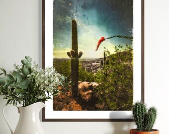Desert Saguaro and Ocotillo Flower - Archival Print