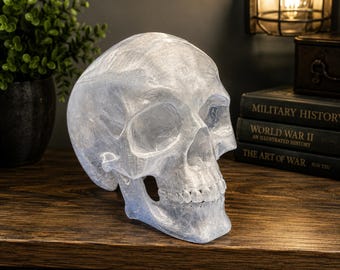 Könnte beinhalten: Eine durchscheinende, klare Nachbildung eines menschlichen Schädels mit einer texturierten, geschichteten Oberfläche. Der Schädel zeigt detaillierte anatomische Strukturen wie Augenhöhlen, Nasenhöhle und Zähne in lebensgroßer Form.