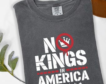 No God No Master Shirt, Political Humor Protest Tee, Pro Democracy Activist Apparel