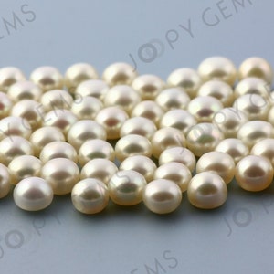 May include: A collection of white round pearls, scattered on a light gray surface. The pearls are smooth and have a slight iridescent sheen.