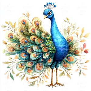12 prachtige blauwe pauw met levendige, elegante veren in prachtig aquarelkunstwerk – exotische vogelillustratie met ingewikkeld verenkleed