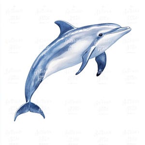20 Blaue Wasserfarben Delphin Digitale Clipart für Meereslebewesen Digitales Basteln, Scrapbook Bilder & Nautische Dekoration – Ozean Tier Geschöpf