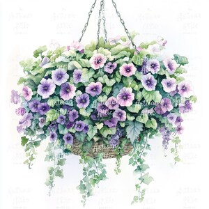 16 bujnych wiszących koszy fioletowych petunii i zwisającego bluszczu • Botaniczna ilustracja akwarelowa • Sztuka ścienna do ogrodu • Natychmiastowe pobieranie cyfrowe