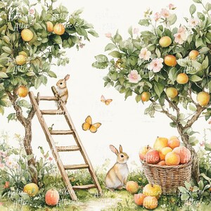 13 Rustikale Orangen Obstgarten Ernte Motiv | Häschen Kaninchen Kletterleiter | Skurril Aquarell Obst Sammeln Kunstdruck | Digitaler Download