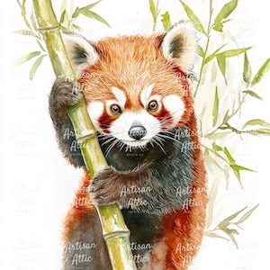 12 adorables pandas rojos abrazando bambú, arte imprimible PNG, descarga digital para decoración de guardería, arte de pared, imágenes prediseñadas y proyectos de manualidades.