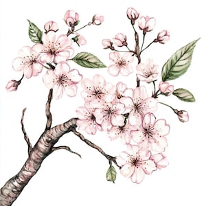 13 Aquarell Kirschblütenzweig, Frühlingsblumenkunst, rosa Sakura-Baumillustration, Blumenwanddekor, handgemalte Frühlingsblüte