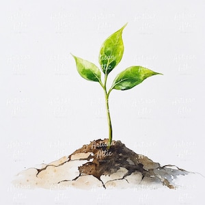 Puede incluir: Pintura a la acuarela de una planta joven brotando de un montículo de tierra. La planta tiene tres hojas de color verde brillante y un tallo delgado. El suelo es una mezcla de marrón y beige, con grietas visibles.