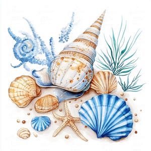 12 imágenes prediseñadas de conchas marinas en acuarela, arte náutico oceánico, arte digital de conchas de playa, conchas costeras para scrapbooking, ilustraciones de conchas marinas