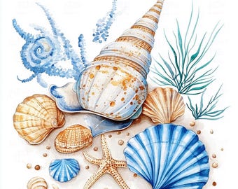 Aquarell Muscheln Clipart, Küstenkunst (Digital Art 12 JPGs)