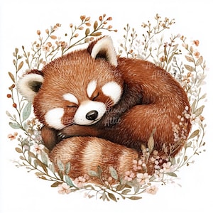 13 imágenes prediseñadas de panda rojo en acuarela, panda durmiendo en la naturaleza, linda ilustración de animal para álbumes de recortes, imágenes prediseñadas digitales para manualidades y bricolaje.