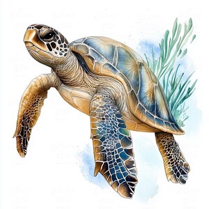 12 majestuosas tortugas marinas en acuarela: pintura realista de vida marina con detalles impresionantes, caparazón vibrante y toques azules oceánicos.