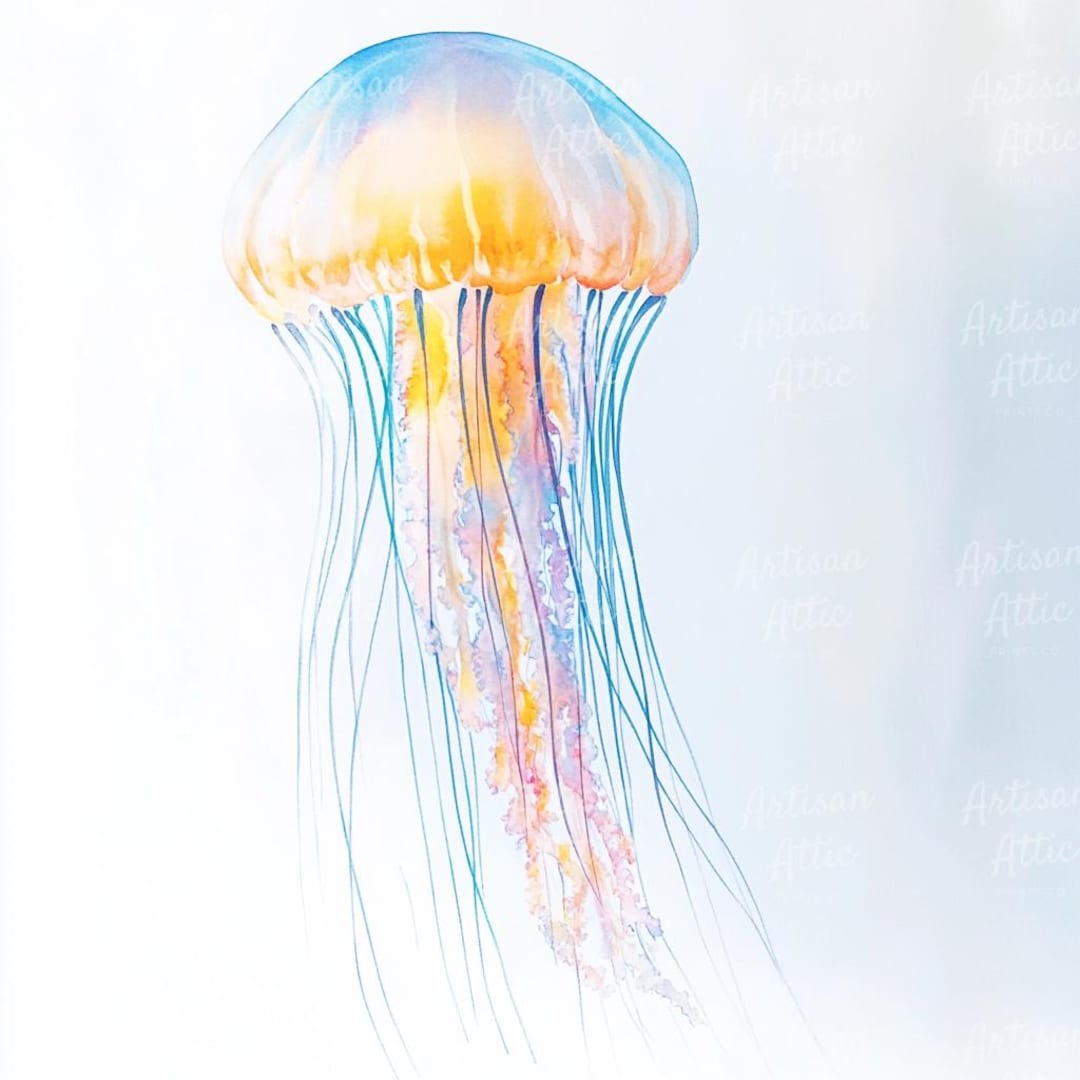 12 Watercolor Jellyfish Clipart, Digital Ocean Creatures Clipart ...