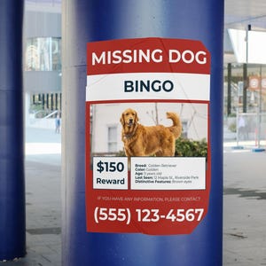 Missing Lost Pet Dog Poster Template • Canva Editable • Instant Download • Customizable Design • Easy to Print & Share • Pet Lost Flyer